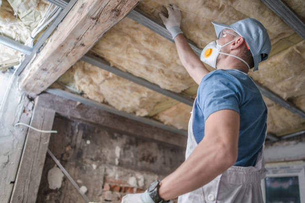 Best Insulation Inspection Services  in Atkins, AR