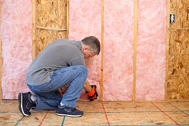 Best Affordable Insulation Services  in Atkins, AR